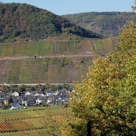 Ferienhaus Mosel Bub بروتيج-فانكيل المظهر الخارجي الصورة