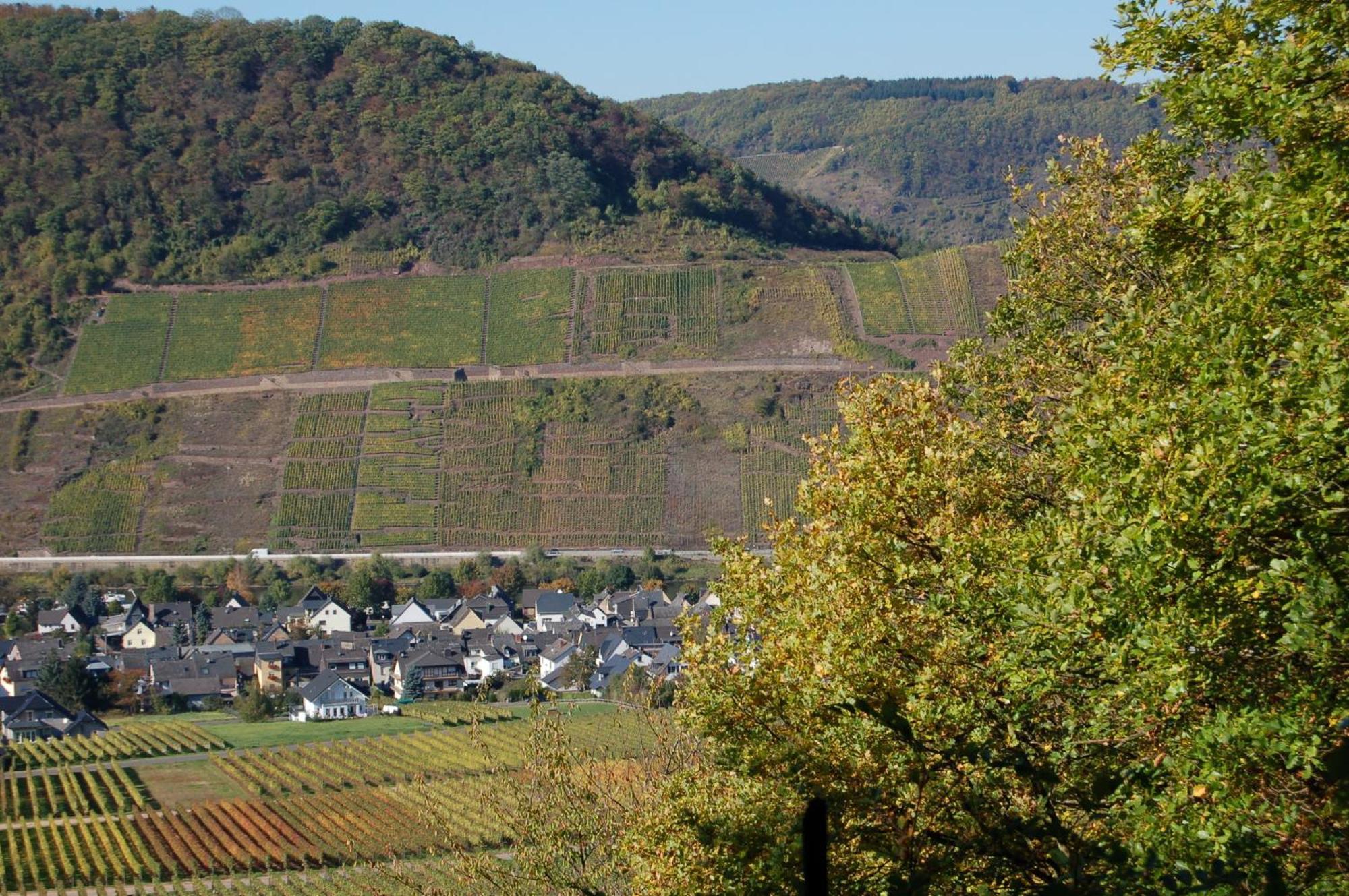 Ferienhaus Mosel Bub بروتيج-فانكيل المظهر الخارجي الصورة